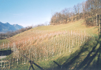 Rheintal
