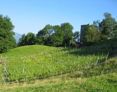 Schloss-Blatten